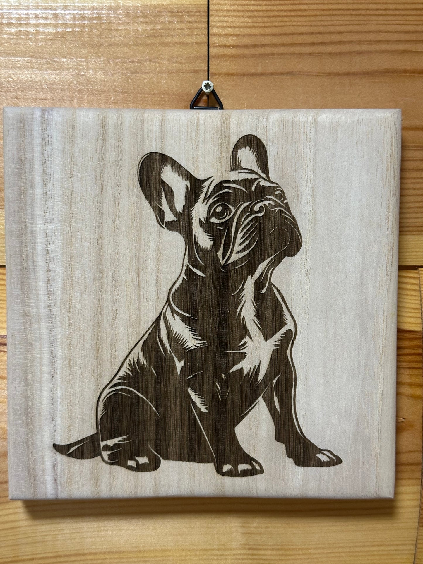 Frenchie puppies
